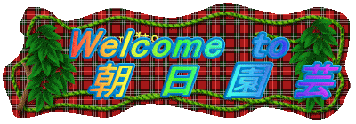 Welcome  to
�@�@ ���@���@���@�|
